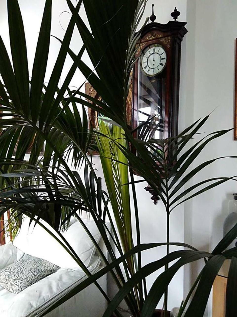 Vila Il Camaleonte Bracciano  Exteriér fotografie